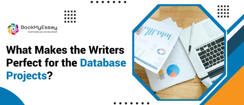 What Makes the Writers Perfect for the Database Projects?
